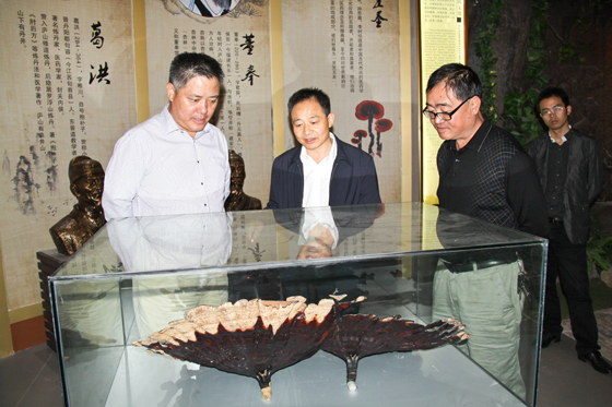 杭州亞運(yùn)會(huì)官方靈芝產(chǎn)品供應(yīng)商|杭州亞運(yùn)會(huì)官方供應(yīng)商|中國(guó)靈芝十大品牌|仙客來靈芝|仙客來靈芝破壁孢子粉|仙客來孢子油|仙客來靈芝飲片|仙客來破壁孢子粉|靈芝孢子油|孢子粉|靈芝破壁孢子粉|靈芝|中華老字號(hào)
