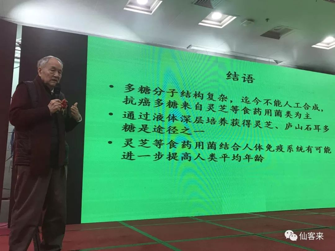 中國靈芝十大品牌|仙客來靈芝|仙客來靈芝破壁孢子粉|仙客來孢子油|仙客來靈芝飲片|仙客來破壁孢子粉|仙客來靈芝中藥飲片|馳名商標(biāo)|stephenmgreenarchives.com|