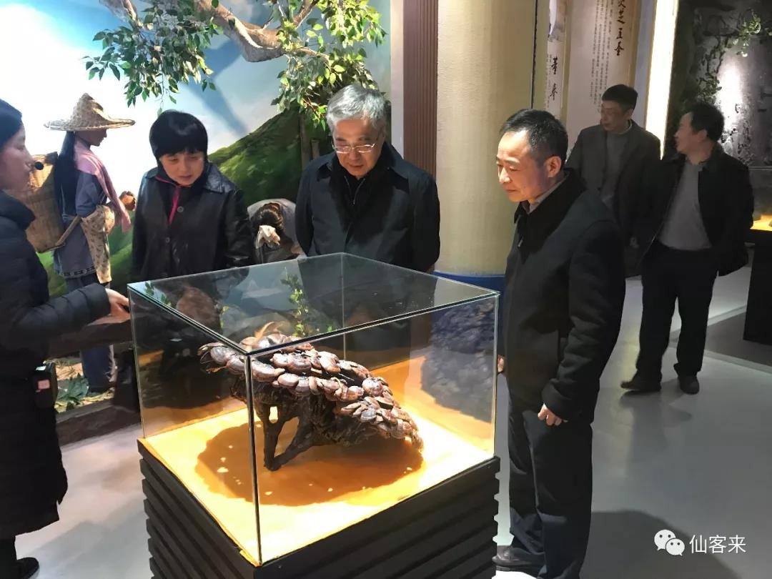 中國靈芝十大品牌|仙客來靈芝|仙客來靈芝破壁孢子粉|仙客來孢子油|仙客來靈芝飲片|仙客來破壁孢子粉|仙客來靈芝中藥飲片|馳名商標(biāo)|stephenmgreenarchives.com|