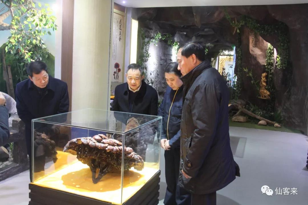 中國靈芝十大品牌|仙客來靈芝|仙客來靈芝破壁孢子粉|仙客來孢子油|仙客來靈芝飲片|仙客來破壁孢子粉|仙客來靈芝中藥飲片|馳名商標|stephenmgreenarchives.com|