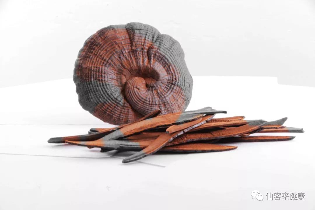 中國(guó)靈芝十大品牌|仙客來(lái)靈芝|仙客來(lái)靈芝破壁孢子粉|仙客來(lái)孢子油|仙客來(lái)靈芝飲片|仙客來(lái)破壁孢子粉|仙客來(lái)靈芝中藥飲片|馳名商標(biāo)|stephenmgreenarchives.com|