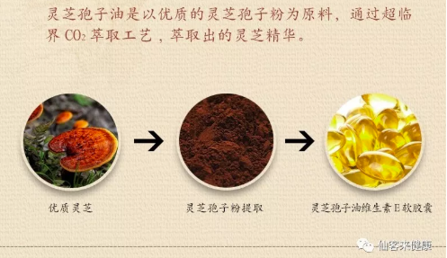 中國(guó)靈芝十大品牌|仙客來(lái)靈芝|仙客來(lái)靈芝破壁孢子粉|仙客來(lái)孢子油|仙客來(lái)靈芝飲片|仙客來(lái)破壁孢子粉|仙客來(lái)靈芝中藥飲片|馳名商標(biāo)|stephenmgreenarchives.com|