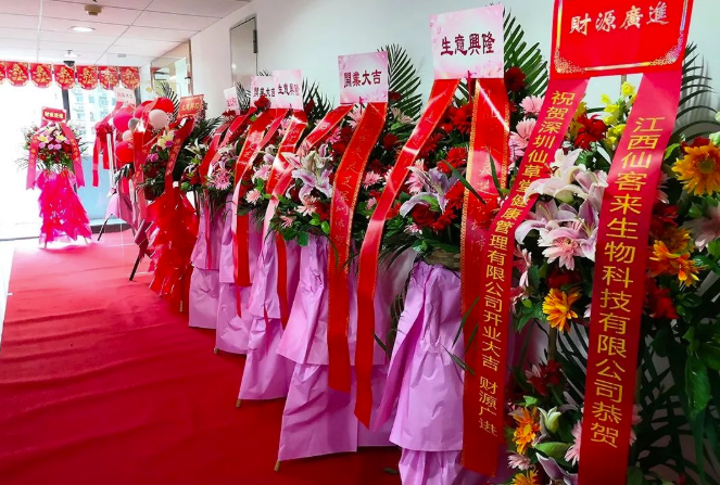 中國靈芝十大品牌|仙客來靈芝|仙客來靈芝破壁孢子粉|仙客來孢子油|仙客來靈芝飲片|仙客來破壁孢子粉|仙客來靈芝中藥飲片|馳名商標(biāo)|stephenmgreenarchives.com|