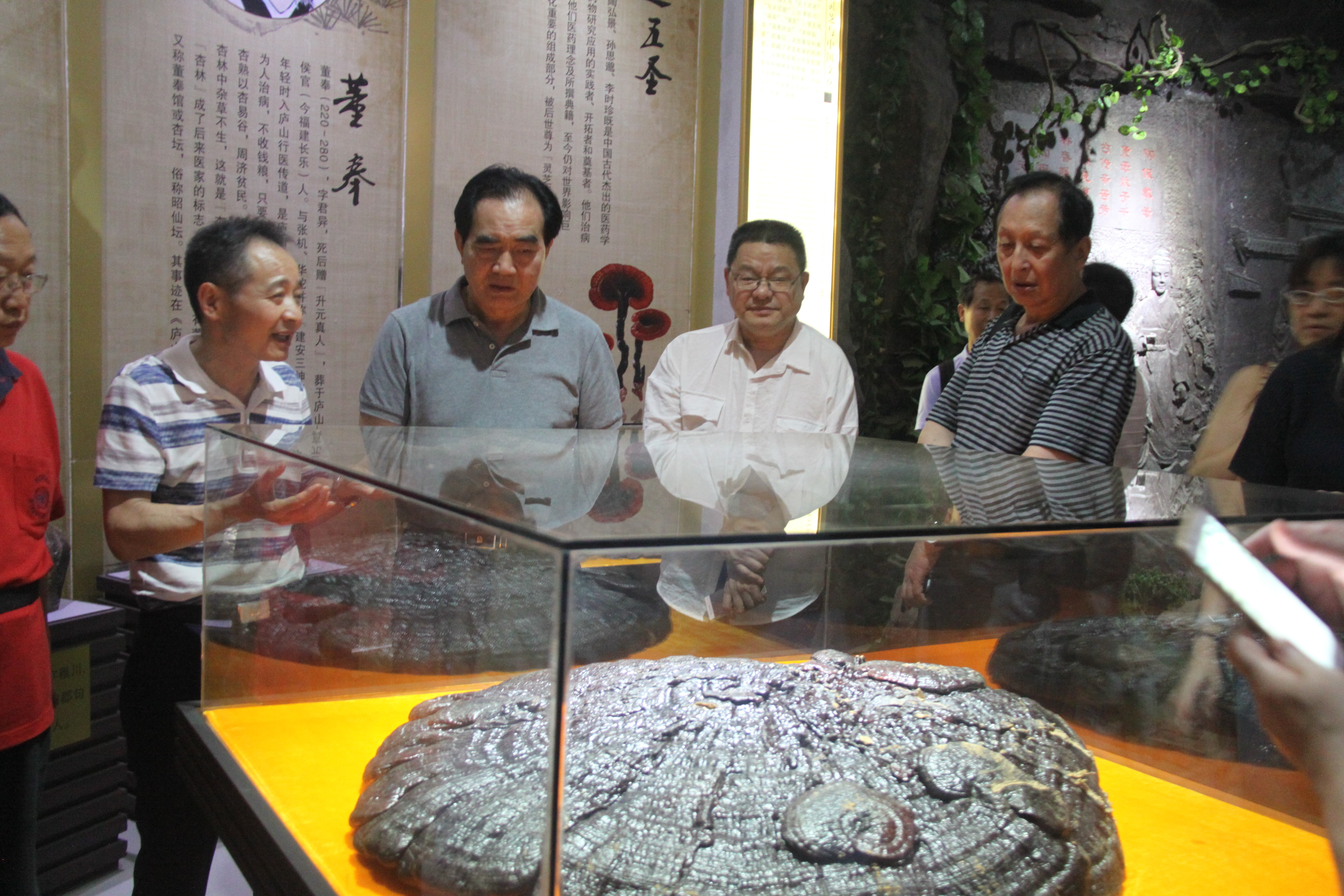 中國(guó)靈芝十大品牌|仙客來(lái)靈芝|仙客來(lái)靈芝破壁孢子粉|仙客來(lái)孢子油|仙客來(lái)靈芝飲片|仙客來(lái)破壁孢子粉|仙客來(lái)靈芝中藥飲片|馳名商標(biāo)|stephenmgreenarchives.com|