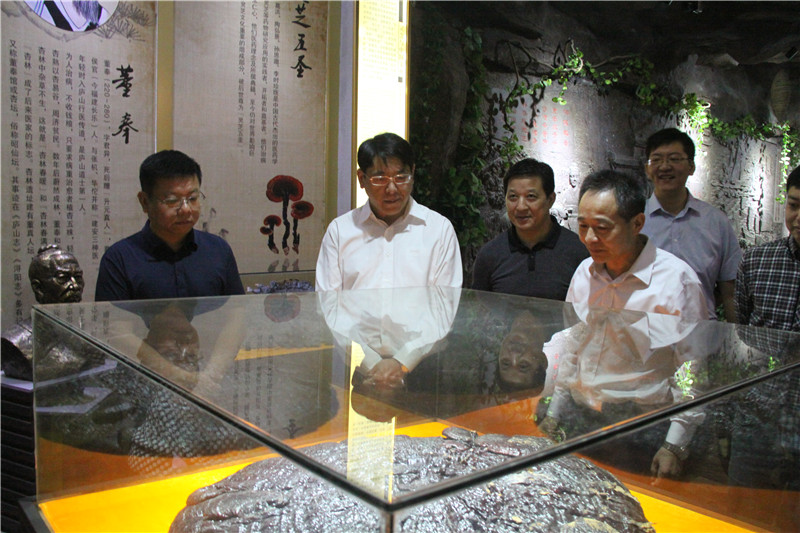 中國靈芝十大品牌|仙客來靈芝|仙客來靈芝破壁孢子粉|仙客來孢子油|仙客來靈芝飲片|仙客來破壁孢子粉|仙客來靈芝中藥飲片|馳名商標(biāo)|stephenmgreenarchives.com|