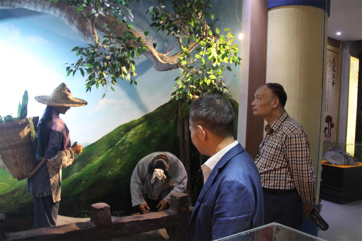 中國(guó)靈芝十大品牌|仙客來靈芝|仙客來靈芝破壁孢子粉|仙客來孢子油|仙客來靈芝飲片|仙客來破壁孢子粉|仙客來靈芝中藥飲片|馳名商標(biāo)|stephenmgreenarchives.com|