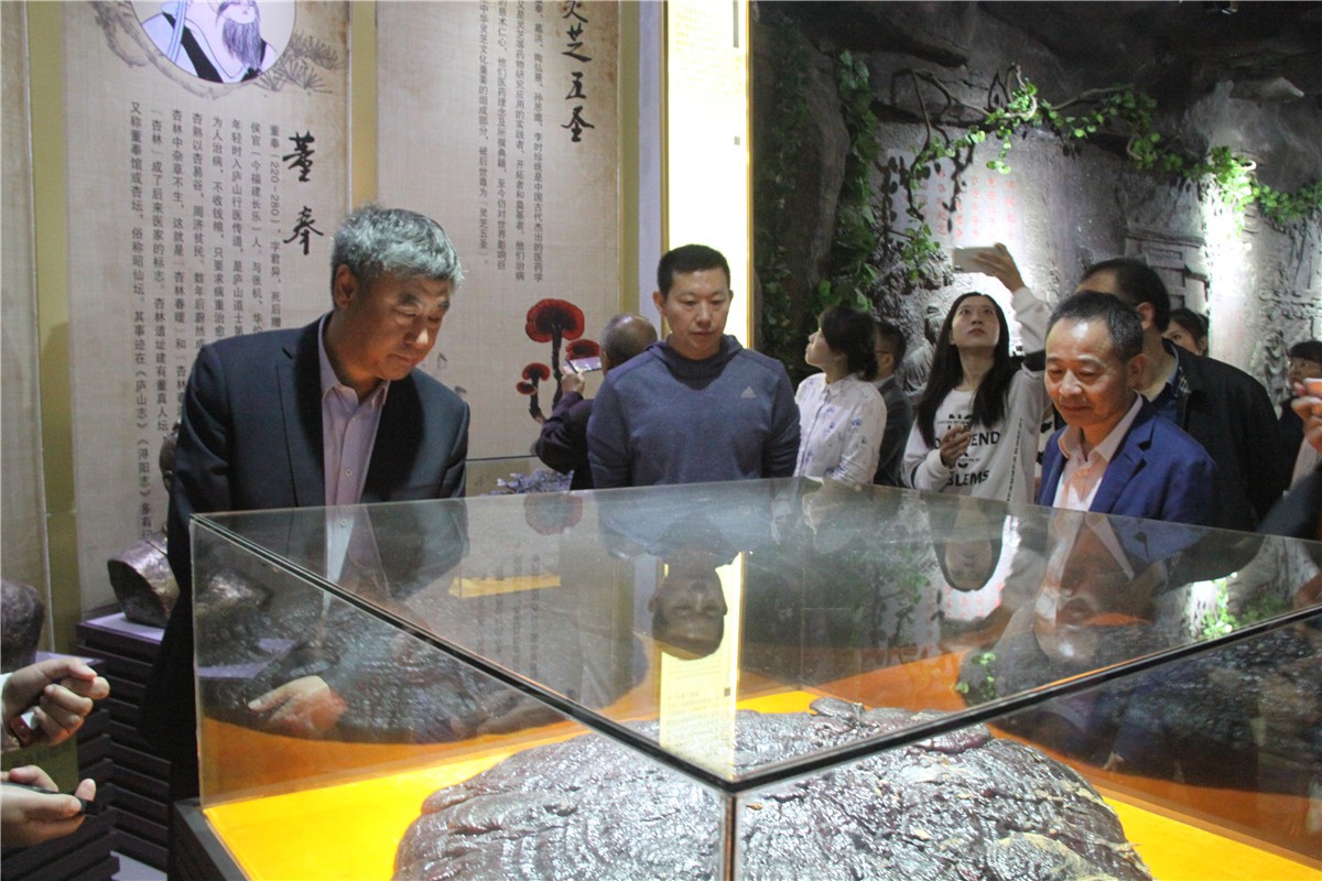 中國靈芝十大品牌|仙客來靈芝|仙客來靈芝破壁孢子粉|仙客來孢子油|仙客來靈芝飲片|仙客來破壁孢子粉|仙客來靈芝中藥飲片|馳名商標(biāo)|stephenmgreenarchives.com|