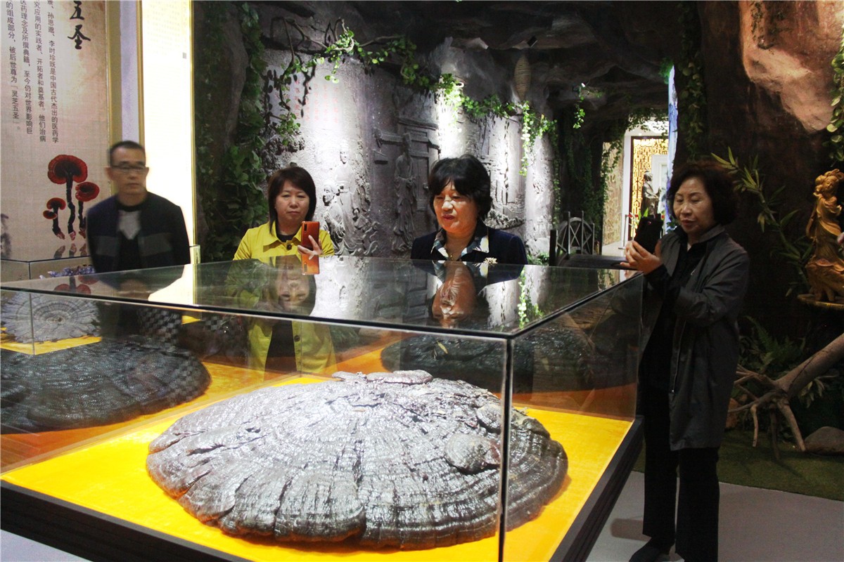 中國(guó)靈芝十大品牌|仙客來(lái)靈芝|仙客來(lái)靈芝破壁孢子粉|仙客來(lái)孢子油|仙客來(lái)靈芝飲片|仙客來(lái)破壁孢子粉|仙客來(lái)靈芝中藥飲片|馳名商標(biāo)|stephenmgreenarchives.com|