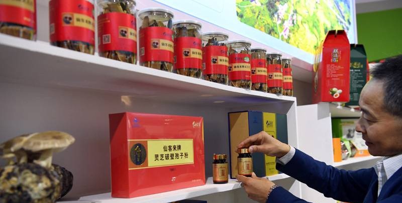 中國靈芝十大品牌|仙客來靈芝|仙客來靈芝破壁孢子粉|仙客來孢子油|仙客來靈芝飲片|仙客來破壁孢子粉|仙客來靈芝中藥飲片|馳名商標(biāo)|stephenmgreenarchives.com|