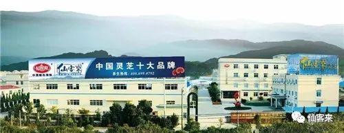 中國靈芝十大品牌|仙客來靈芝|仙客來靈芝破壁孢子粉|仙客來孢子油|仙客來靈芝飲片|仙客來破壁孢子粉|仙客來靈芝中藥飲片|馳名商標(biāo)|stephenmgreenarchives.com|