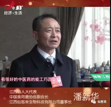 中國靈芝十大品牌|仙客來靈芝|仙客來靈芝破壁孢子粉|仙客來孢子油|仙客來靈芝飲片|仙客來破壁孢子粉|仙客來靈芝中藥飲片|馳名商標|stephenmgreenarchives.com|