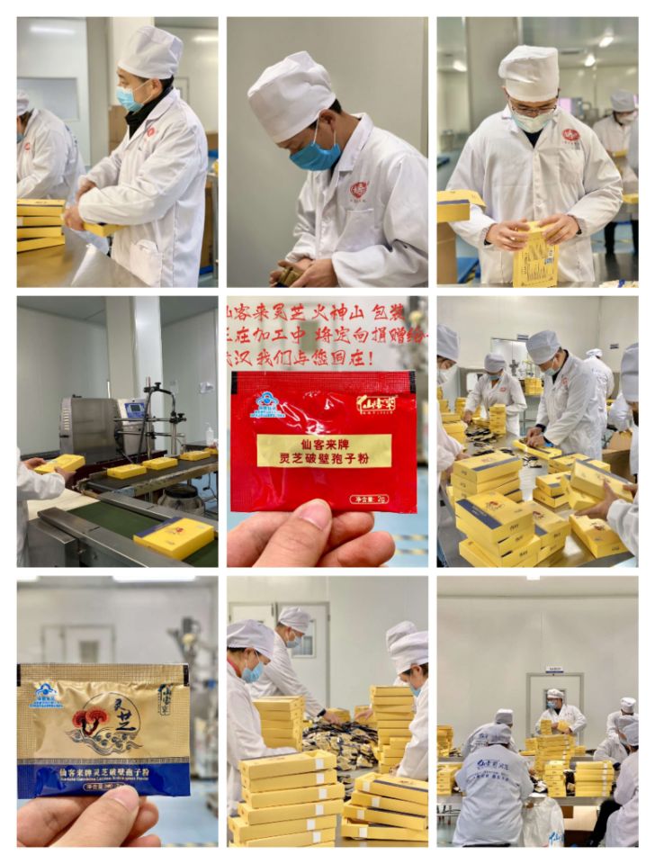中國靈芝十大品牌|仙客來靈芝|仙客來靈芝破壁孢子粉|仙客來孢子油|仙客來靈芝飲片|仙客來破壁孢子粉|仙客來靈芝中藥飲片|馳名商標(biāo)|stephenmgreenarchives.com|