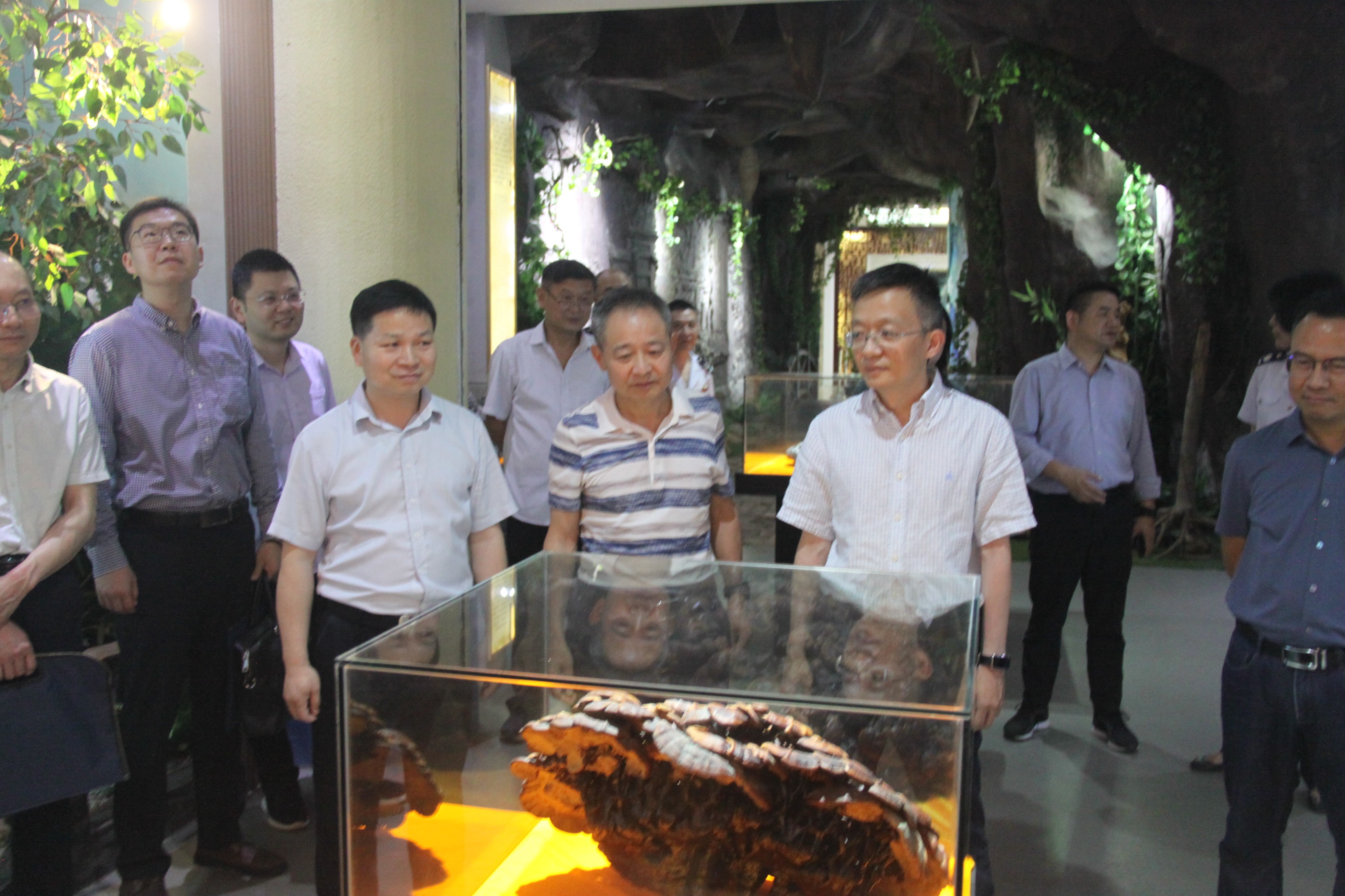 杭州亞運(yùn)會(huì)官方靈芝產(chǎn)品供應(yīng)商|杭州亞運(yùn)會(huì)官方供應(yīng)商|中國靈芝十大品牌|仙客來靈芝|仙客來靈芝破壁孢子粉|仙客來孢子油|仙客來靈芝飲片|仙客來破壁孢子粉|靈芝孢子油|孢子粉|靈芝破壁孢子粉|靈芝|中華老字號(hào)