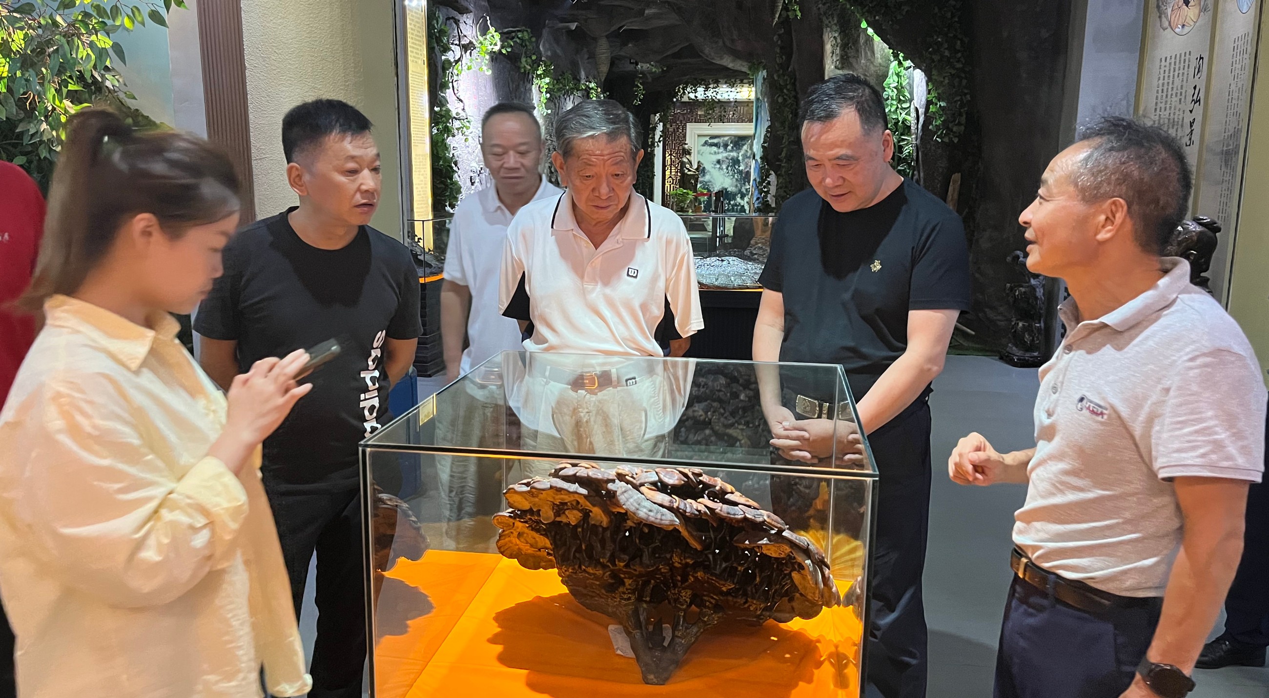 杭州亞運(yùn)會(huì)官方靈芝產(chǎn)品供應(yīng)商|杭州亞運(yùn)會(huì)官方供應(yīng)商|中國(guó)靈芝十大品牌|仙客來靈芝|仙客來靈芝破壁孢子粉|仙客來孢子油|仙客來靈芝飲片|仙客來破壁孢子粉|靈芝孢子油|孢子粉|靈芝破壁孢子粉|靈芝|中華老字號(hào)