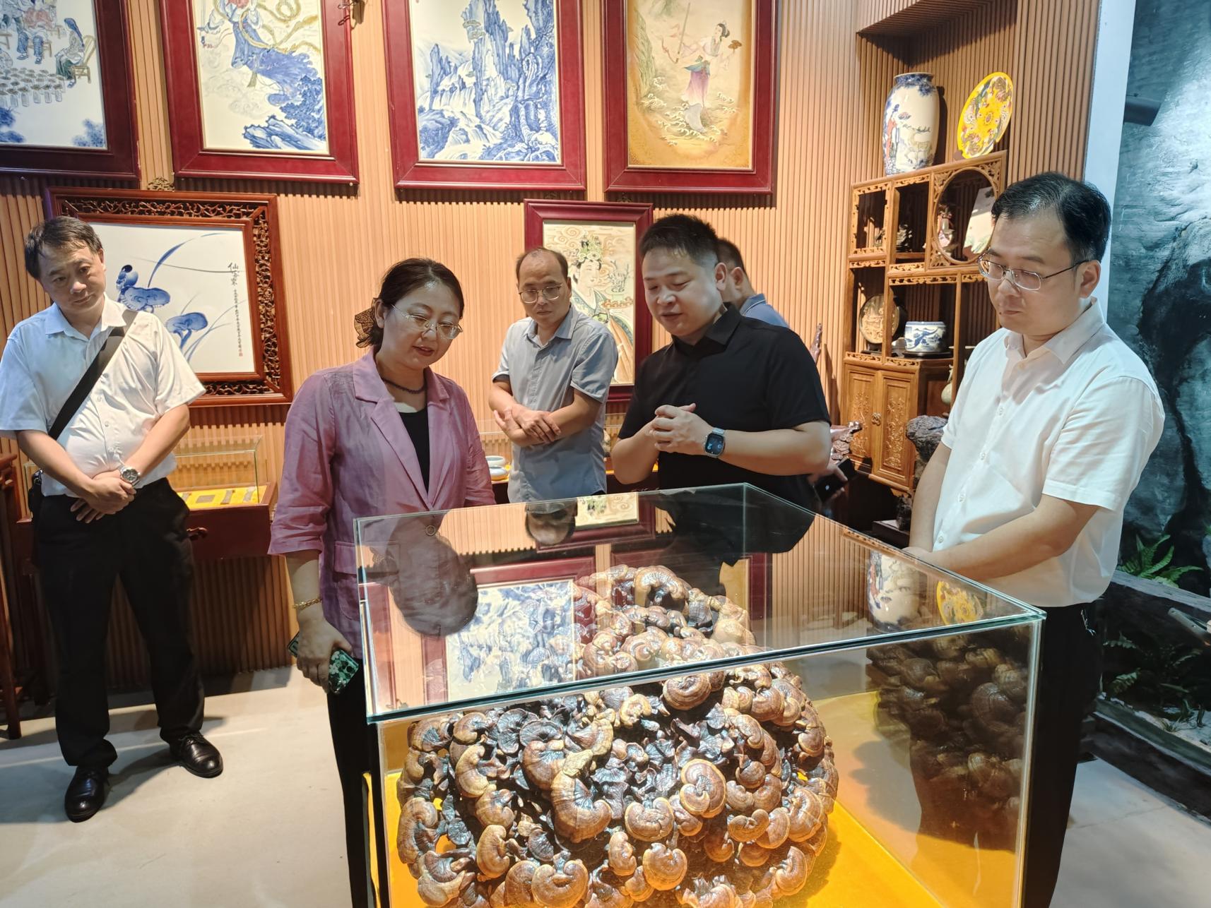 杭州亞運會官方靈芝產品供應商|杭州亞運會官方供應商|中國靈芝十大品牌|仙客來靈芝|仙客來靈芝破壁孢子粉|仙客來孢子油|仙客來靈芝飲片|仙客來破壁孢子粉|靈芝孢子油|孢子粉|靈芝破壁孢子粉|靈芝|中華老字號