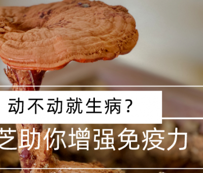 靈芝，預(yù)防您夏季上“火”
